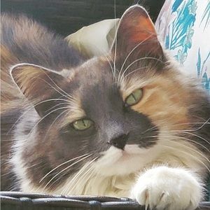 Meet your Posher, Mia